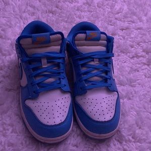 nike dunk coasts, worn handful of times, good condition, taken care of well
